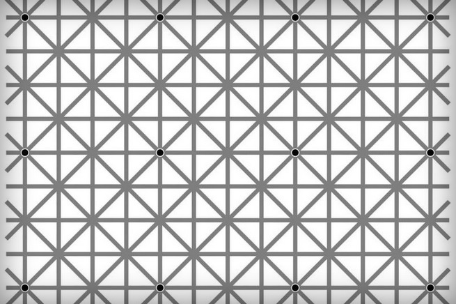 Новая оптическая иллюзия! Сколько черных точек ты видишь на картинке?