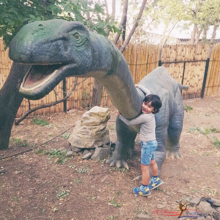 «Давай его возьмем жить к нам!»: сын Анфисы Чеховой завел друга-динозавра - «Дети»