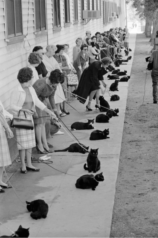 5 фотографий, на которых происходит нечто странное 5 фотографий, на которых происходит нечто странное