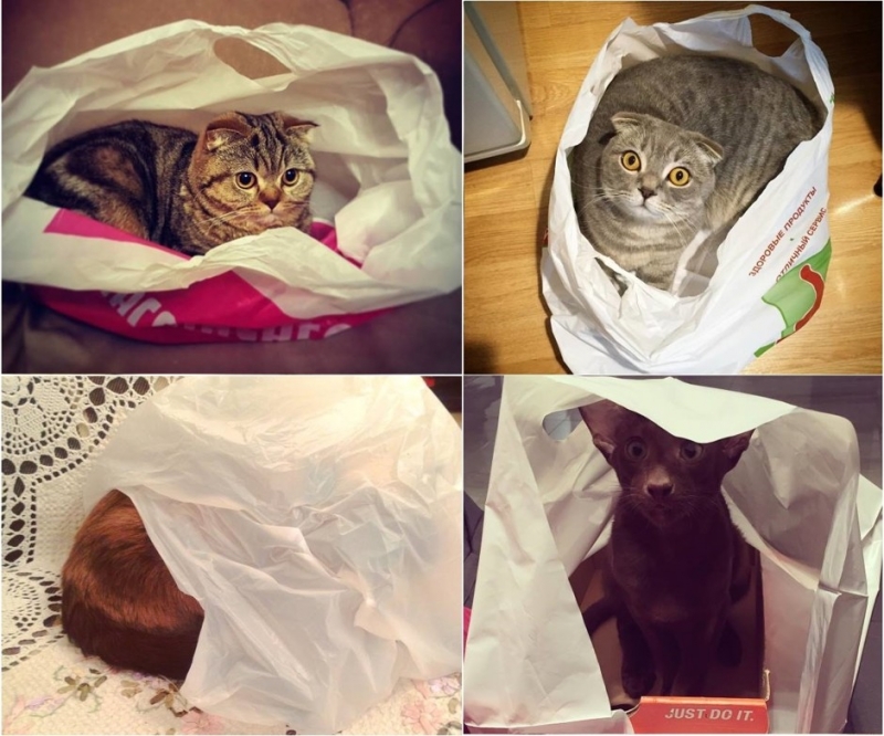 …картонных коробках - «Дом»