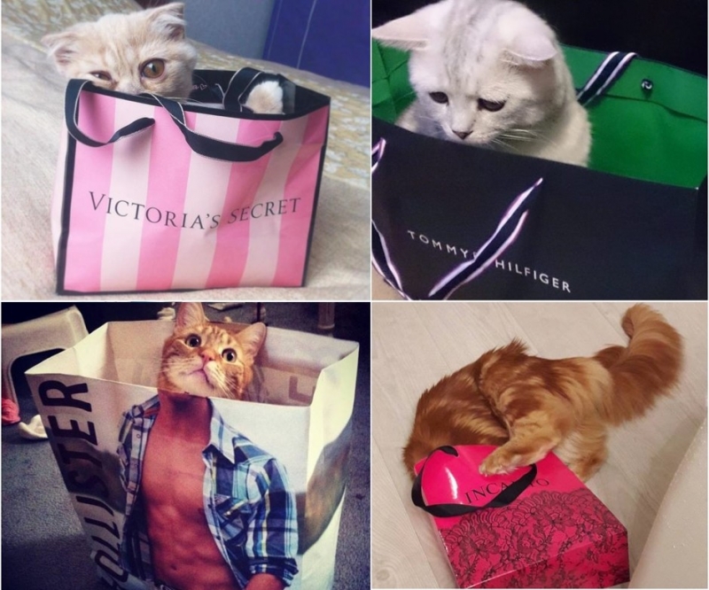 …картонных коробках - «Дом»