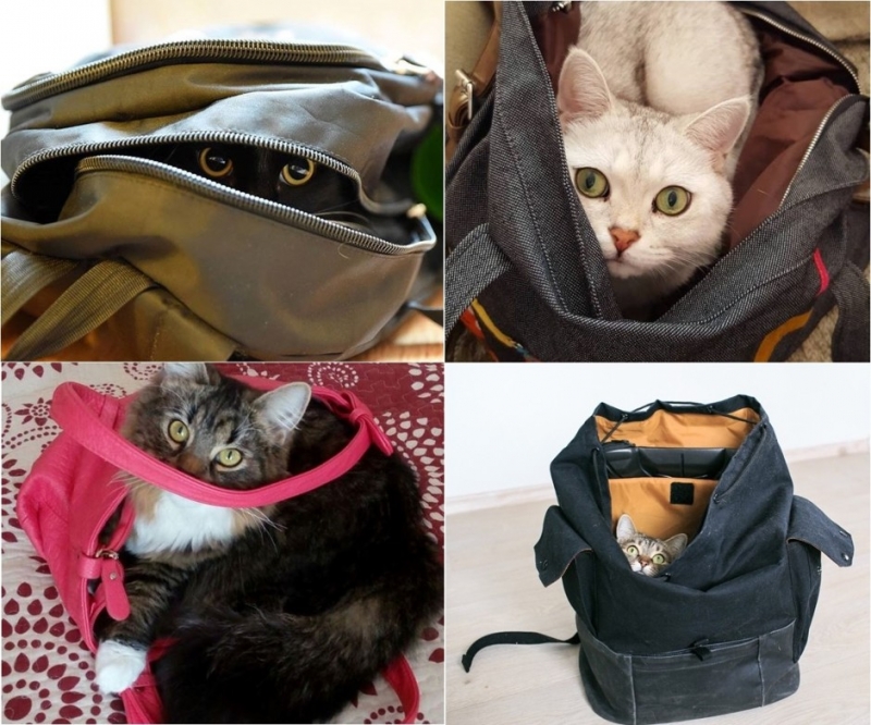 …картонных коробках - «Дом»