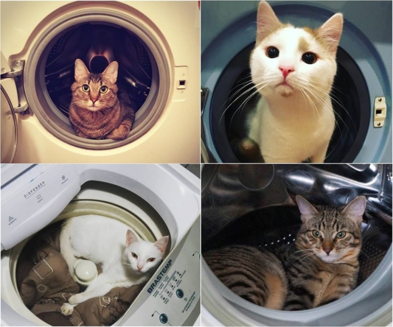 …картонных коробках - «Дом»