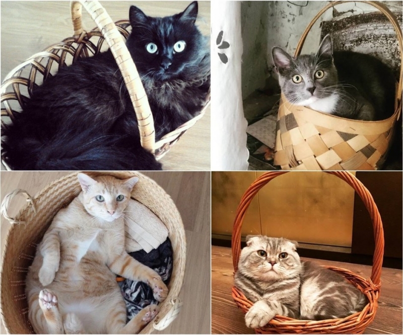 …картонных коробках - «Дом»