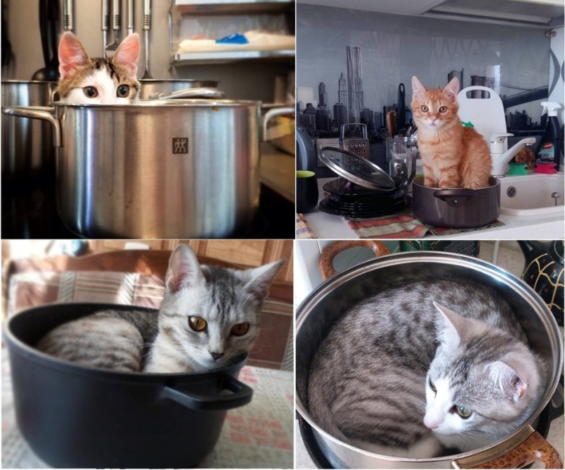 …картонных коробках - «Дом»