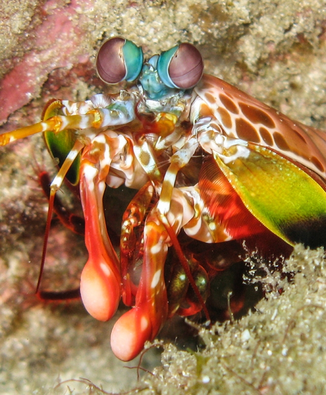 Наш мир на самом деле серый! И другие невероятные факты о цвете!