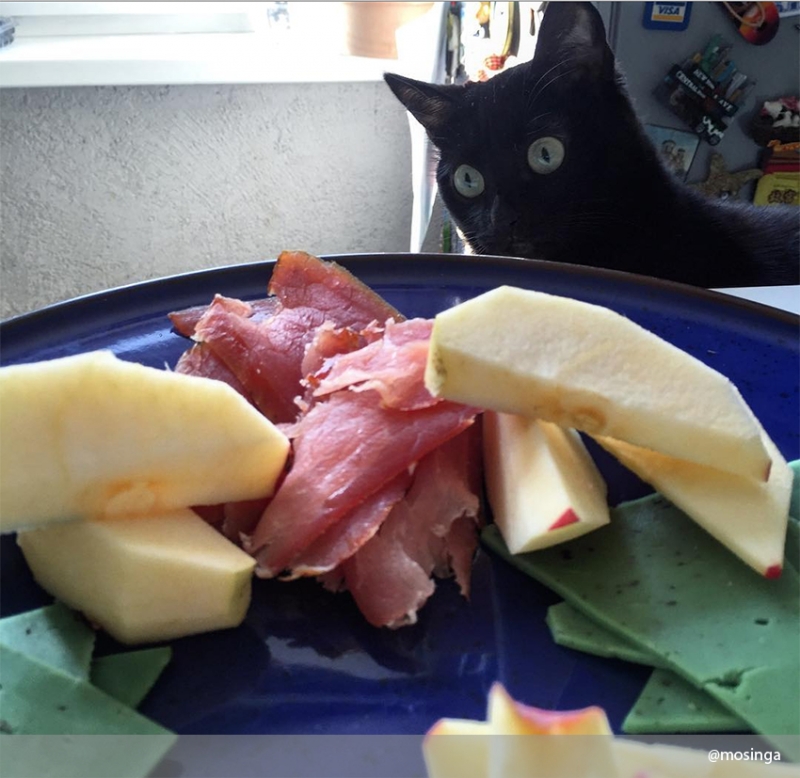 И ты понимаешь, что тебе это снится…   - «Дом»