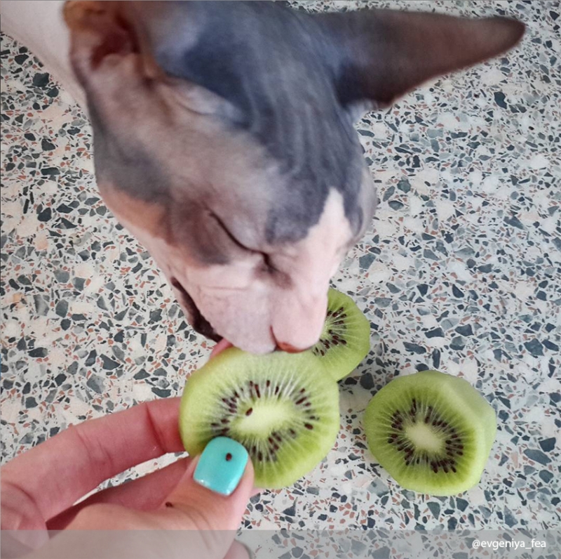 И ты понимаешь, что тебе это снится…   - «Дом»