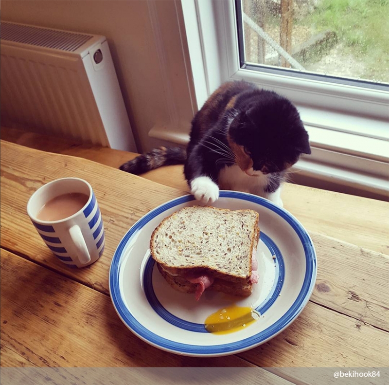 И ты понимаешь, что тебе это снится…   - «Дом»