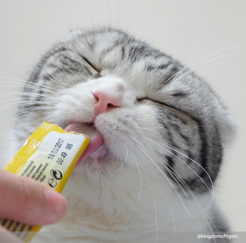 И ты понимаешь, что тебе это снится…   - «Дом»