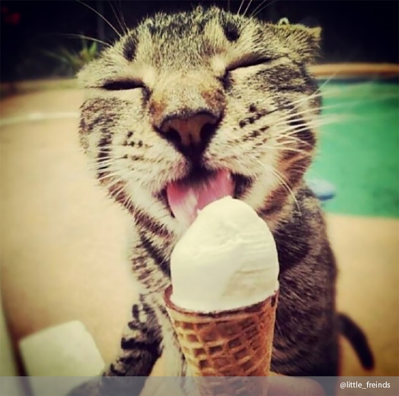 И ты понимаешь, что тебе это снится…   - «Дом»