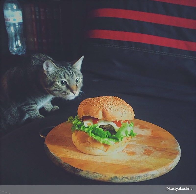 И ты понимаешь, что тебе это снится…   - «Дом»