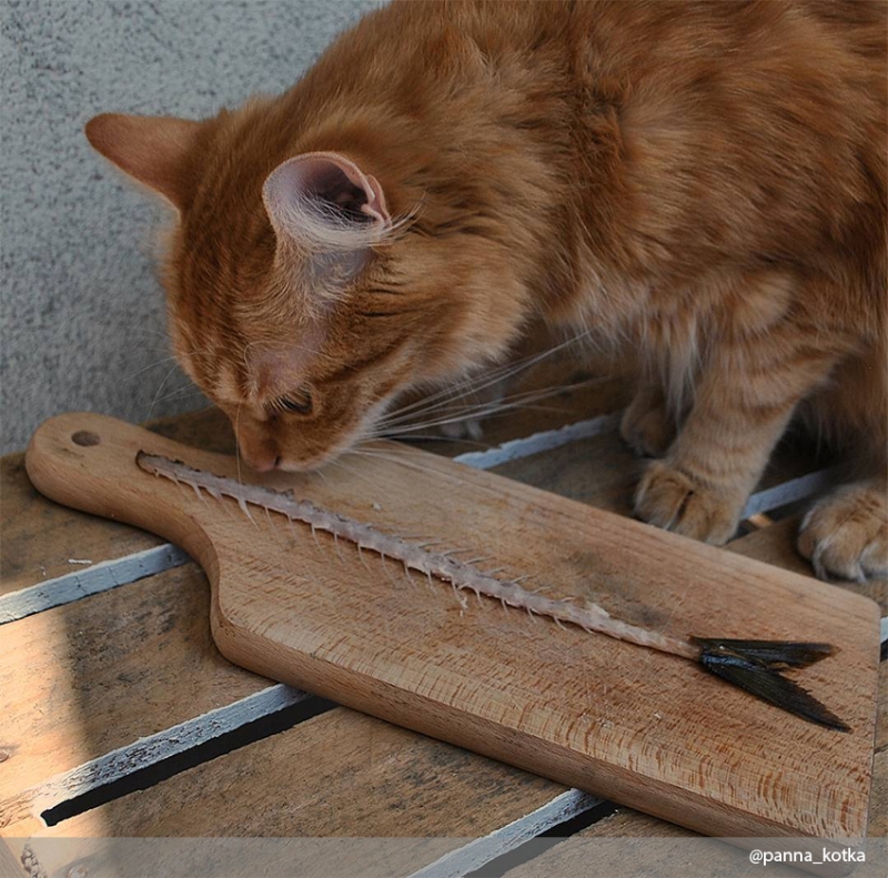 И ты понимаешь, что тебе это снится…   - «Дом»