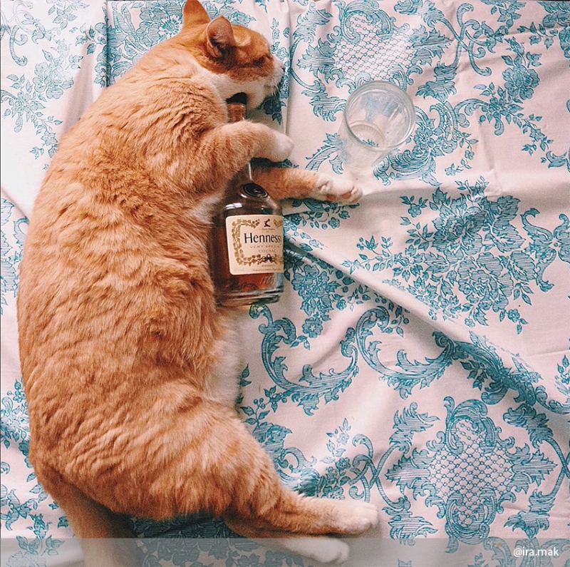 И ты понимаешь, что тебе это снится…   - «Дом»