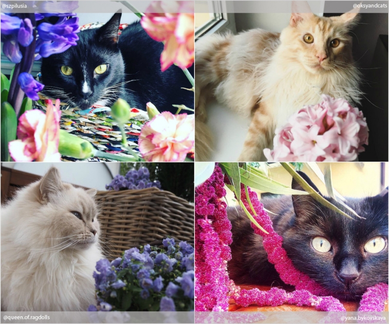 Красота в квадрате - «Дом»