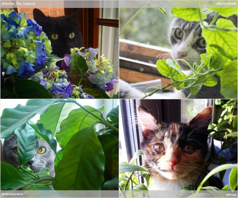 Красота в квадрате - «Дом»