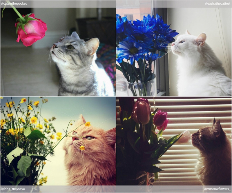 Красота в квадрате - «Дом»