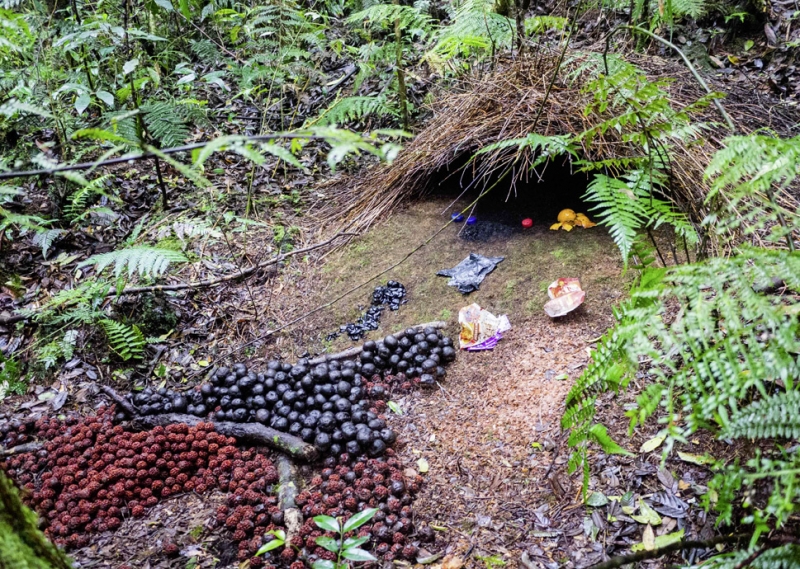 13 сногсшибательных фотозоофактов, после которых ты с подозрением будешь относиться к животным в зоопарке!