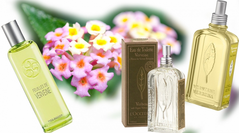 1. Эфирное масло вербены - «Красота»