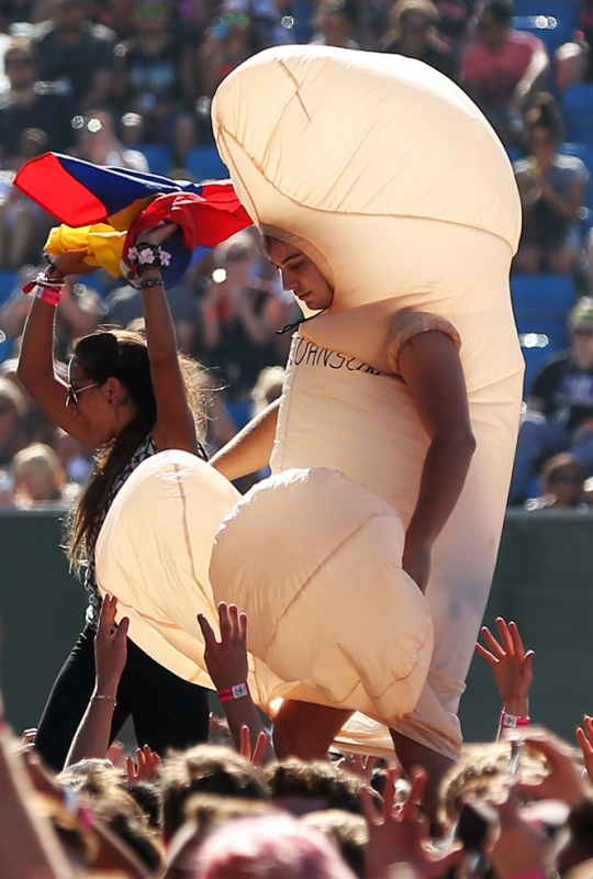 И это все о нем: Животрепещущая история пениса: от известкового острия до наших дней