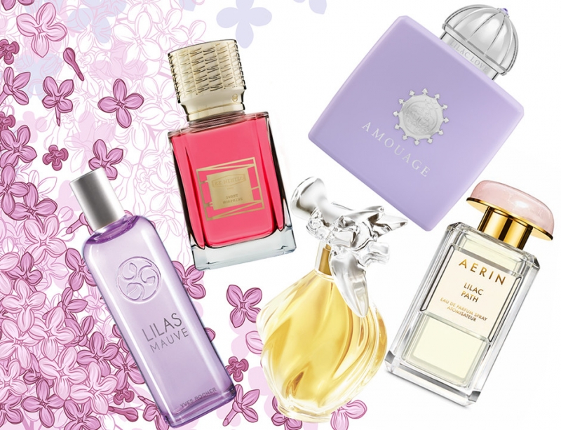 1. Сирень - «Красота»