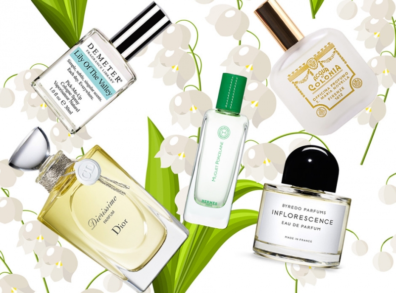 1. Сирень - «Красота»