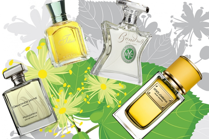 1. Сирень - «Красота»