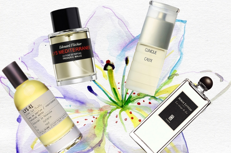 1. Сирень - «Красота»