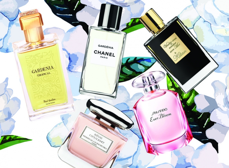 1. Сирень - «Красота»