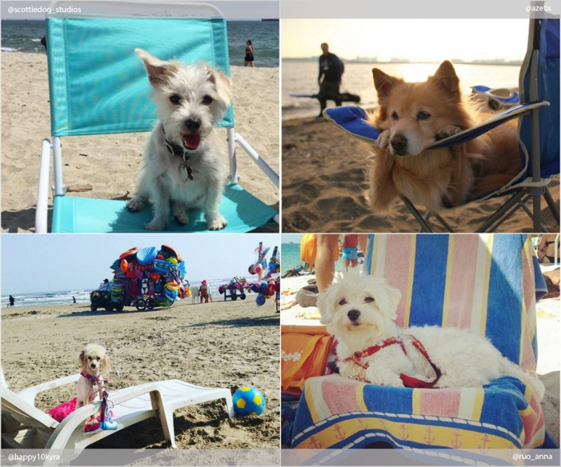 Поехать на море - «Дом»