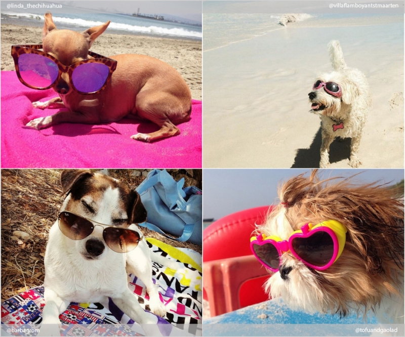 Поехать на море - «Дом»