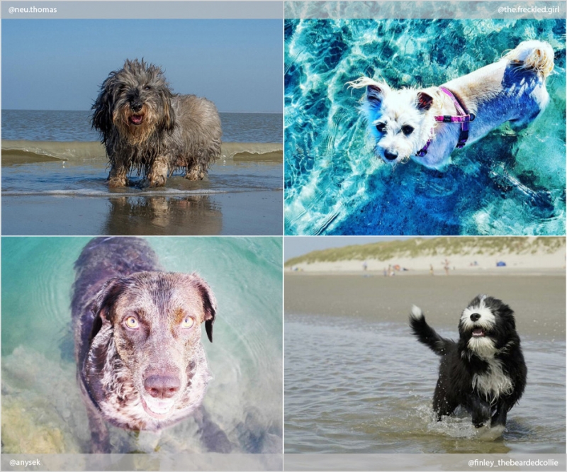 Поехать на море - «Дом»