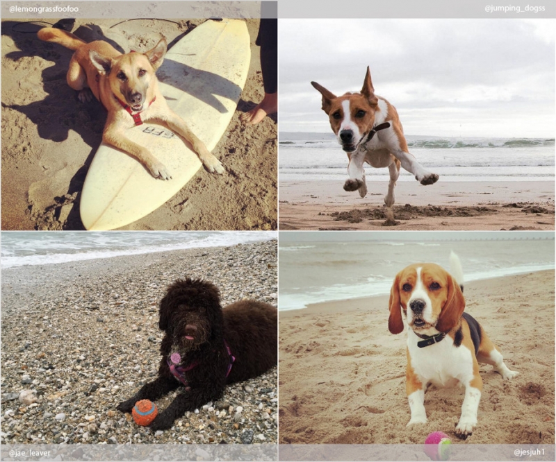 Поехать на море - «Дом»