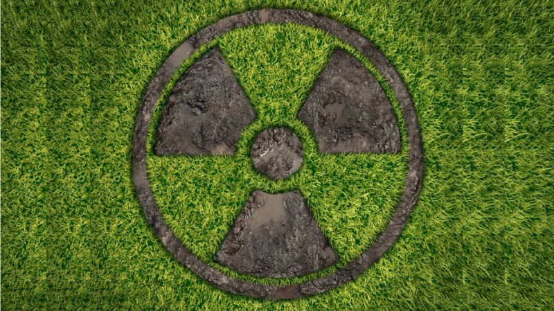 Какие грибы бывают радиоактивными - «Красота»