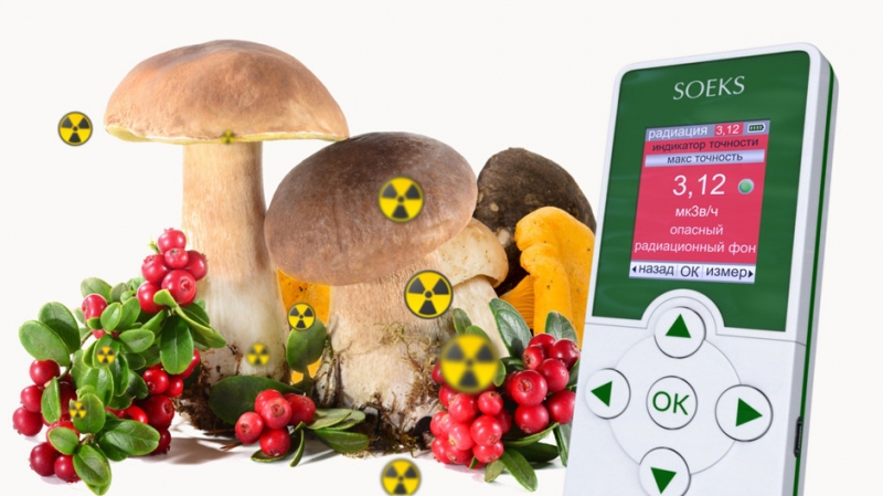 Какие грибы бывают радиоактивными - «Красота»
