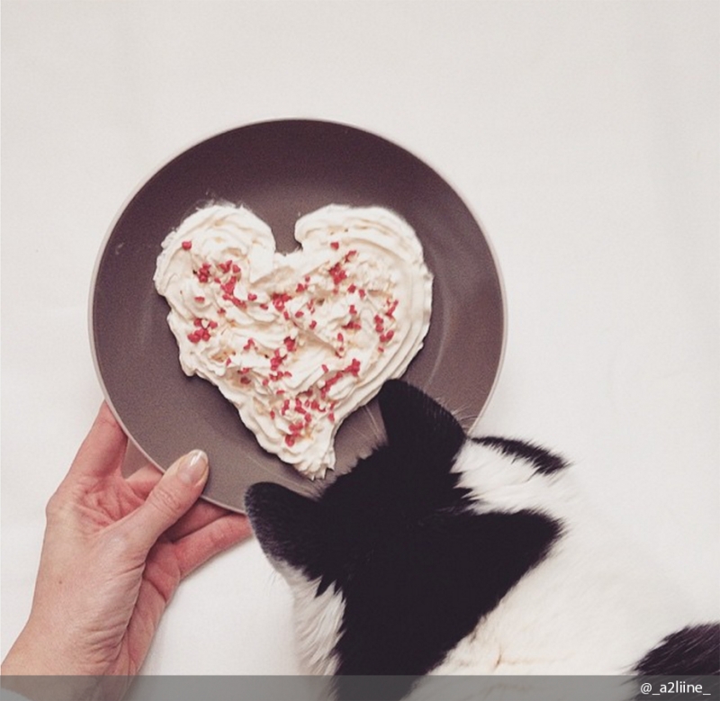 Смотрите также нашу подборку «Кот в деталях: фото и факты». - «Дом»