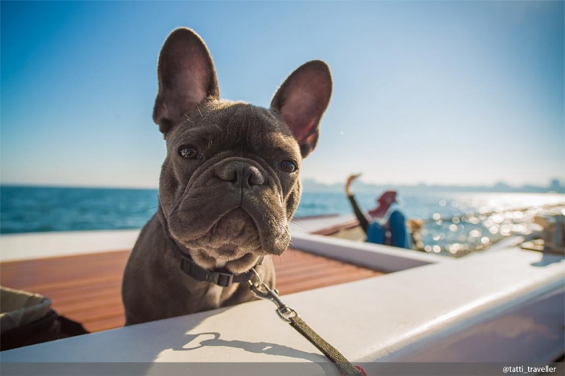 Куда можно ехать - «Дом»