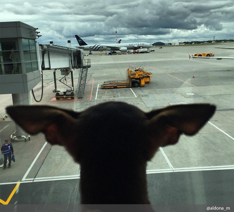 Куда можно ехать - «Дом»