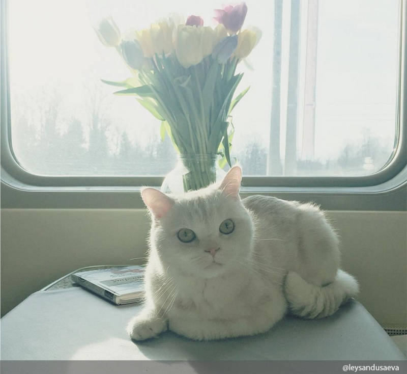 Куда можно ехать - «Дом»