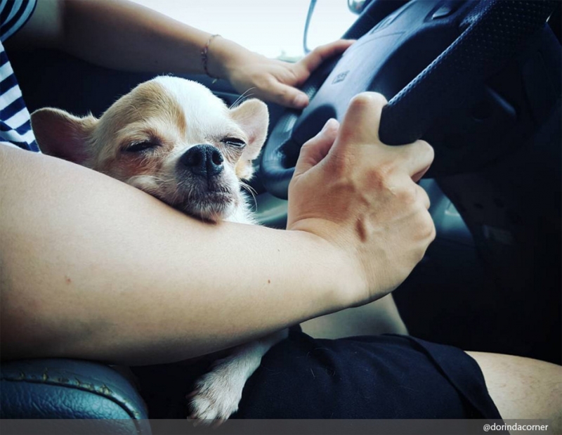 Куда можно ехать - «Дом»