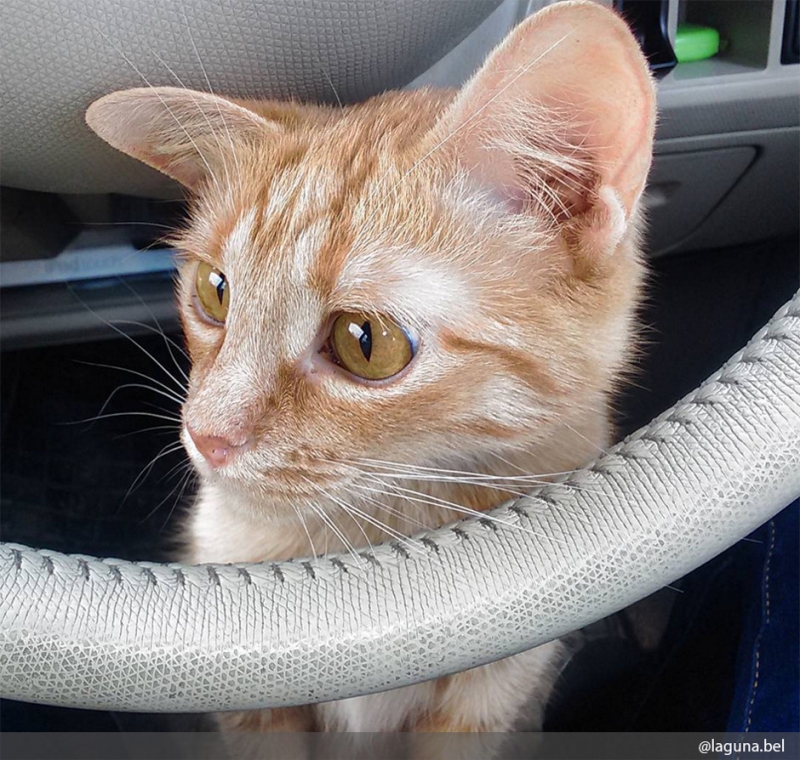 Куда можно ехать - «Дом»