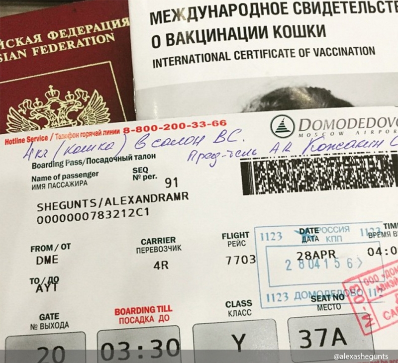 Куда можно ехать - «Дом»