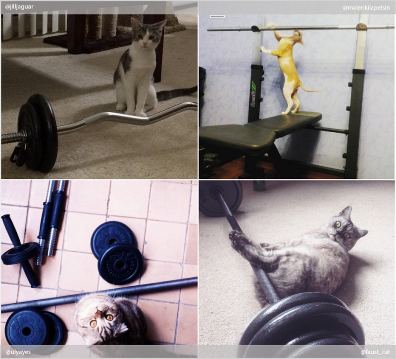 Фитнес начинается с коврика - «Дом»