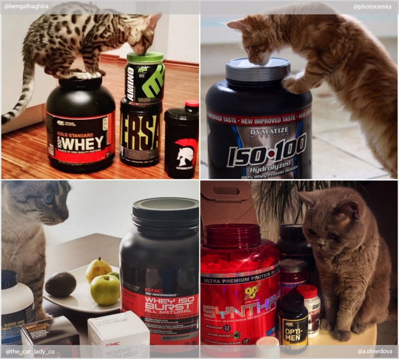 Фитнес начинается с коврика - «Дом»