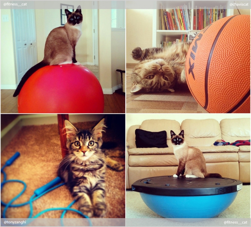 Фитнес начинается с коврика - «Дом»