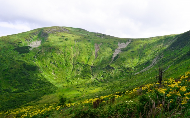 Отдых в гармонии с природой: как провести отпуск в Буковеле