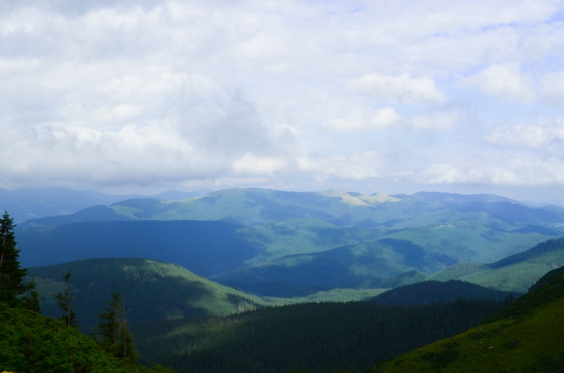 Отдых в гармонии с природой: как провести отпуск в Буковеле