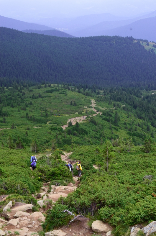 Отдых в гармонии с природой: как провести отпуск в Буковеле