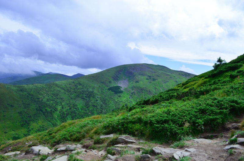 Отдых в гармонии с природой: как провести отпуск в Буковеле