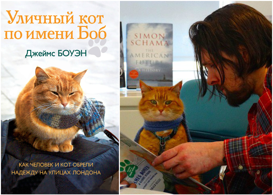 Читать книгу кот боб